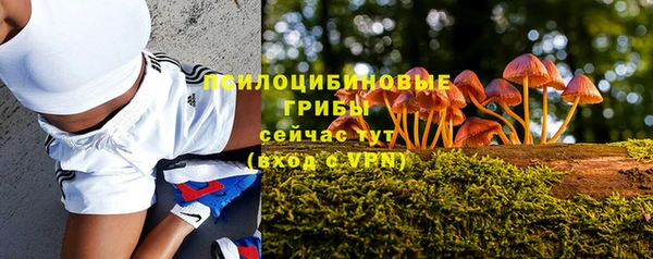 не бодяженный Каменногорск