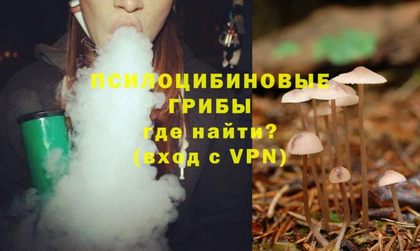 крисы Каменск-Шахтинский