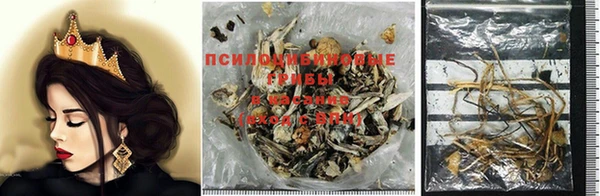 не бодяженный Каменногорск